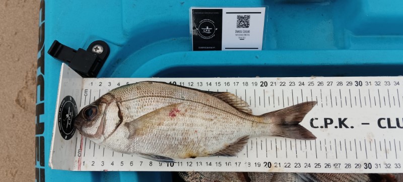 Fish Measure Picture